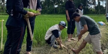 Mahasiswa sedang menanam bibit Tanaman Refugia