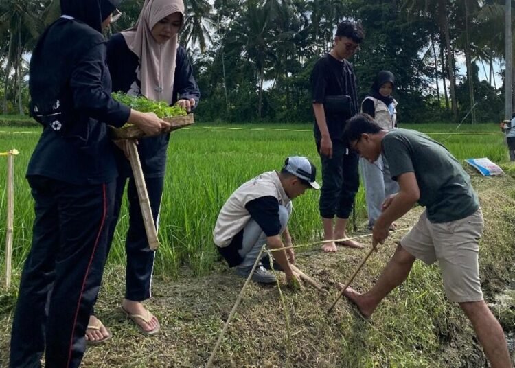 Mahasiswa KKN 168 UINSA dan Masyarakat Bergerak Bersama Menanam Refugia 1 Mahasiswa sedang menanam bibit Tanaman Refugia