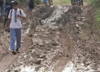 Gambar WhatsApp 2025 07 11 pukul 05.18.39 d2915733