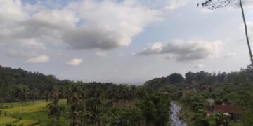 IMG 20241026 WA0182