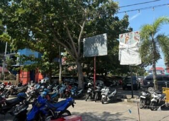 IMG 20250709 WA0023 e1752044463814 800x466 1