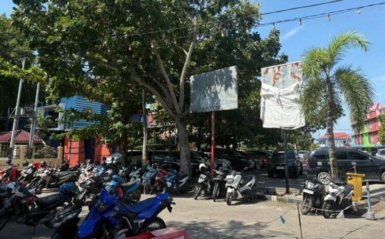 Parkir Karimun, Antara Profesionalisme dan Kemandirian Daerah 1 IMG 20250709 WA0023 e1752044463814 800x466 1