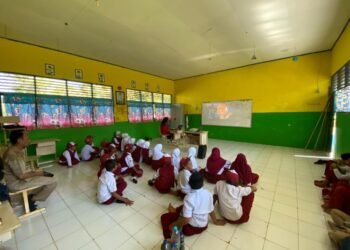 IMG 20250730 WA0028 1