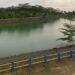 kebun raya banua