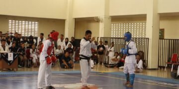 Wushu