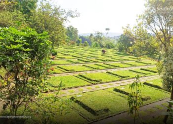 Report 41 jenazah dhuafa dimakamkan di FMP