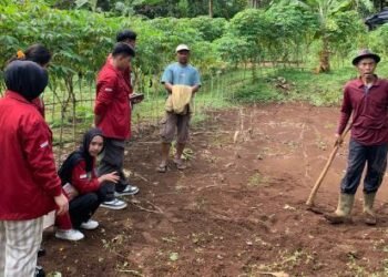 Screenshot 2025 07 15 153857