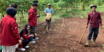 Screenshot 2025 07 15 153857