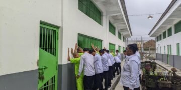 WhatsApp Image 2025 07 02 at 08.36.58 1