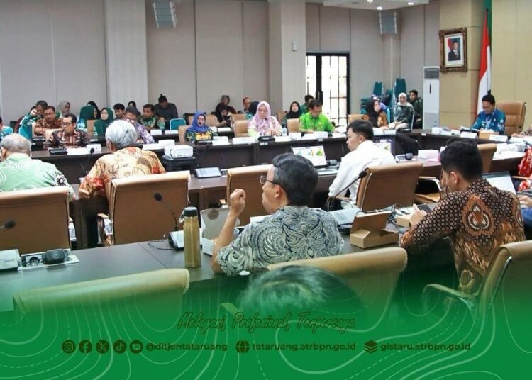 WhatsApp Image 2025 07 03 at 13.15.57 1