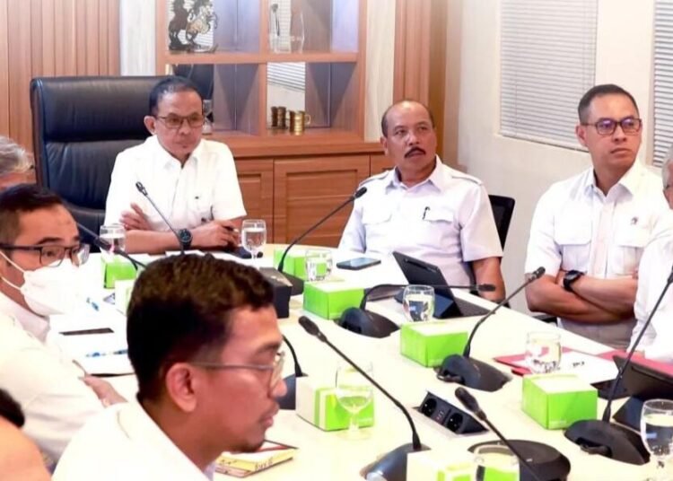 WhatsApp Image 2025 07 03 at 13.15.58