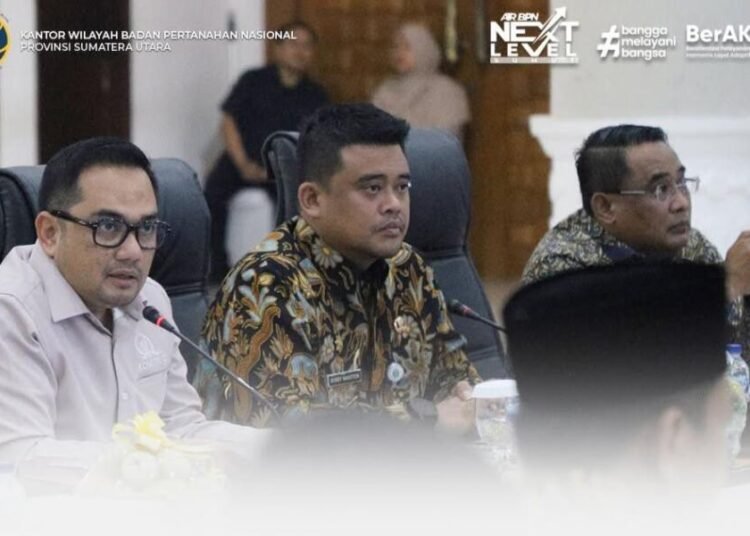 WhatsApp Image 2025 07 05 at 13.23.56 1