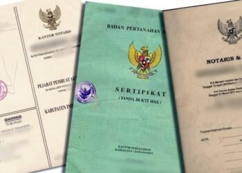 WhatsApp Image 2025 07 06 at 11.45.51