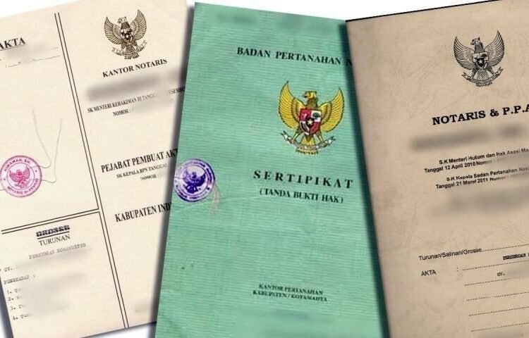 WhatsApp Image 2025 07 06 at 11.45.51