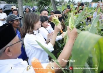 WhatsApp Image 2025 07 07 at 17.59.33