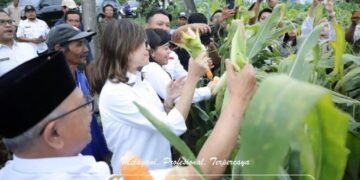 WhatsApp Image 2025 07 07 at 17.59.33