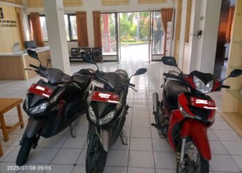 WhatsApp Image 2025 07 08 at 09.08.441