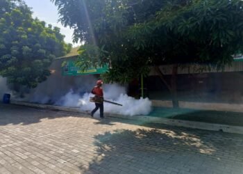 Pelaksanaan Fogging di area pondok