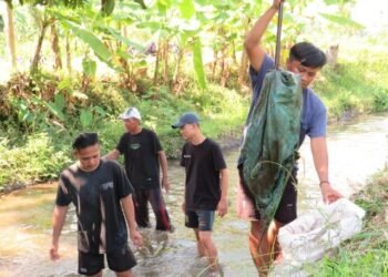 WhatsApp Image 2025 07 16 at 10.12.27 56d1b2e4