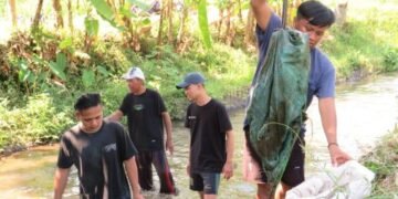 WhatsApp Image 2025 07 16 at 10.12.27 56d1b2e4