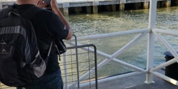 WhatsApp Image 2025 07 18 at 17.05.59