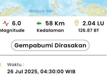 WhatsApp Image 2025 07 26 at 09.32.49 01dd613b