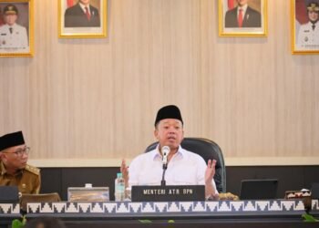 WhatsApp Image 2025 07 29 at 20.00.03