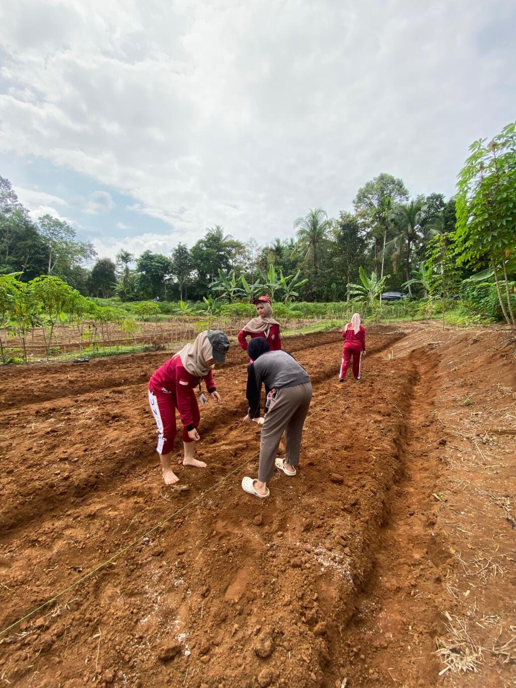 Dorong Ketahanan Pangan, Mahasiswa KKM Kelompok 29 Menanam Kacang Tanah Untuk Masyarakat Desa Cipicung 2 WhatsApp Image 2025 07 30 at 11.55.53 80c064de