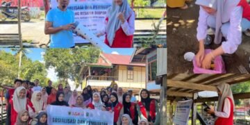 WhatsApp Image 2025 07 31 at 19.47.25 48f9b532