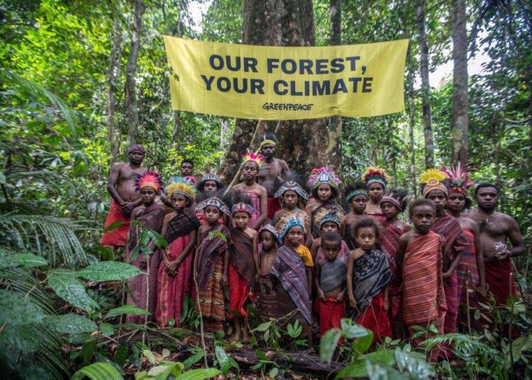 Masyarakat adat knasaimos sumber : greenpeace indonesia