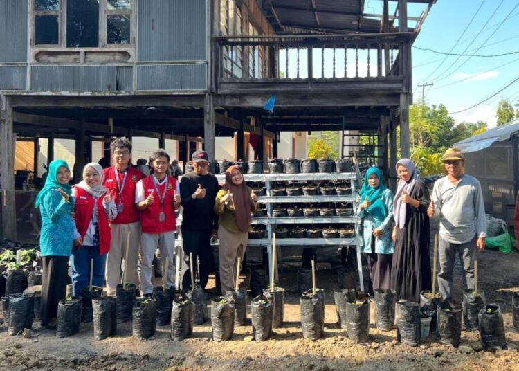 Mahasiswa KKN-T 114 UNHAS Terapkan Irigasi Tetes sebagai Inovasi Hemat Air dalam Budidaya Pekarangan Rumah di Kelurahan Maccirinna 1 dokumentasi makmur