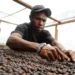 https://nationalgeographic.grid.id/read/131948261/kopi-tiom-memunguti-yang-diabaikan