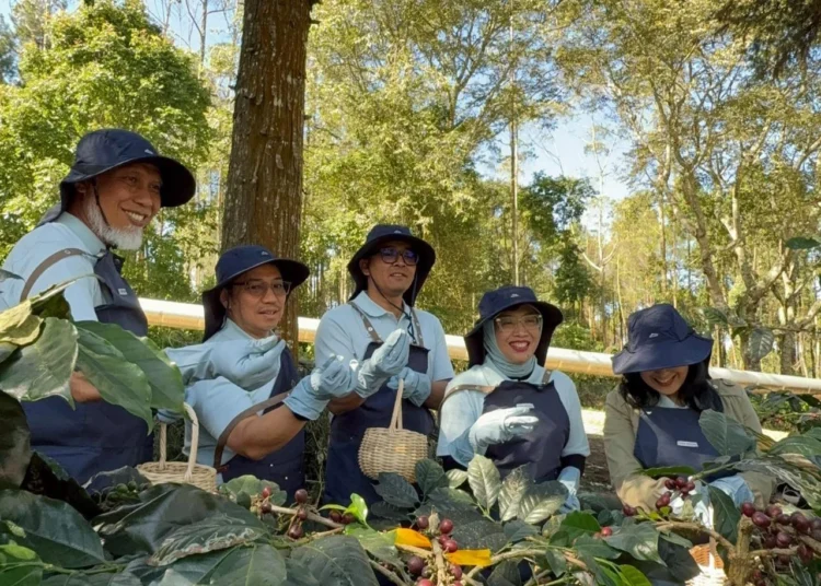 Pertamina Bawa Kopi Petani Kamojang Tembus Pasar Asia dan Eropa dengan Teknologi 'Geothermal Dry House’ 1 Geothermal Dry House