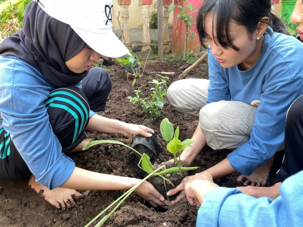 Mahasiswa KKN BBK 6 UNAIR meletakkan bibit pohon di tanah 
