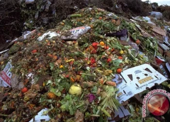 Ilustrasi Sampah Makan (myzerowaste.com).