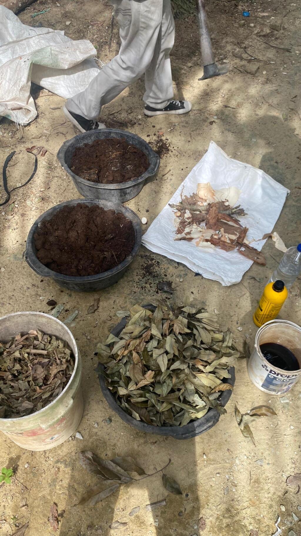 IMG 20250715 WA0039 1