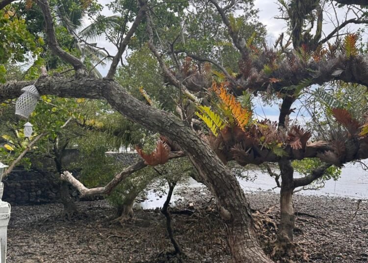 WhatsApp Image 2025 08 01 at 13.23.09 3926bec7