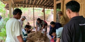 Proses pembuatan silase dan fermentasi di Padukuhan Dlingo 1, Dusun Dlingo, Kab. Bantul, Daerah Istimewa Yogyakarta. Sosialisasi ini dilaksanakan pada Minggu (03/08/2025). (doc. KKN-PPM 04 UMBY)