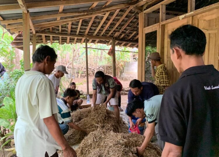 Dukung Pakan Ternak, Mahasiswa KKN-PPM UMBY Kelompok 04 Sosialisasikan Pembuatan Silase Rumput Gajah serta Fermentasi Jerami 1 Proses pembuatan silase dan fermentasi di Padukuhan Dlingo 1, Dusun Dlingo, Kab. Bantul, Daerah Istimewa Yogyakarta. Sosialisasi ini dilaksanakan pada Minggu (03/08/2025). (doc. KKN-PPM 04 UMBY)