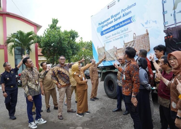 keranjang serat alam