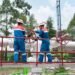 Pertamina NRE
