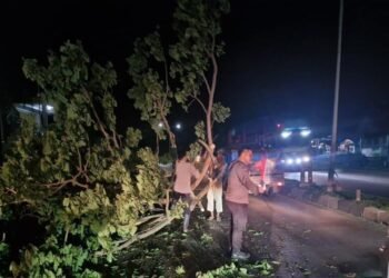 Sebuah pohon besar tumbang menutupi jalan poros Desa Madello, Barru. Namun, gelap malam tak menghalangi semangat polisi dan warga untuk bergotong royong membersihkan jalan.