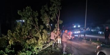 Sebuah pohon besar tumbang menutupi jalan poros Desa Madello, Barru. Namun, gelap malam tak menghalangi semangat polisi dan warga untuk bergotong royong membersihkan jalan.