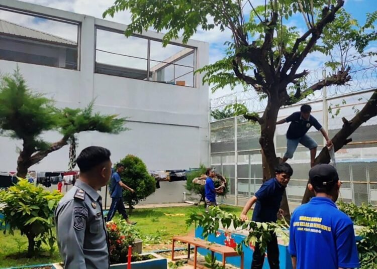 Pemangkasan Pohon di Lapas Bengkulu, Petugas Pastikan Keamanan Tetap Terjaga 1 Lapas Bengkulu, Hilmawan Indra Waskito, Kesatuan Pengamanan, Pemangkasan Pohon, Lingkungan Lapas, Warga Binaan, Kamtib Lapas, Kemenkumham Bengkulu