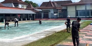 IMG 20251116 WA0030