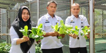 Lapas Bengkulu, Jimmy Andreas, Kaur Umum Lapas Bengkulu, Sarana Edukasi dan Asimilasi, Gedung Giatja, Panen Pakcoy, Warga Binaan, Pembinaan Kemandirian, Pertanian Lapas, Program Asimilasi, Bengkulu Correctional Institution, Productive Rehabilitation