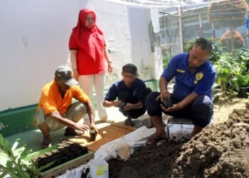 Lapas Bengkulu, Bengkel Kerja, Pembinaan Kemandirian, Bibit Terong, Bibit Cabai, Pertanian Lapas, Kegiatan Warga Binaan, Petugas Lapas Bengkulu, Kementerian Hukum dan HAM, Direktorat Jenderal Pemasyarakatan