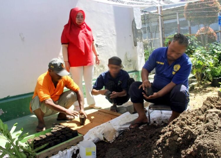 Lapas Bengkulu, Bengkel Kerja, Pembinaan Kemandirian, Bibit Terong, Bibit Cabai, Pertanian Lapas, Kegiatan Warga Binaan, Petugas Lapas Bengkulu, Kementerian Hukum dan HAM, Direktorat Jenderal Pemasyarakatan