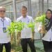 Lapas Bengkulu, Panen Kangkung, Pembinaan Kemandirian, Pemasyarakatan Produktif, Ketahanan Pangan, Giatja Lapas, Kemenimipas Bengkulu, Bengkulu