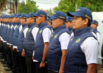 WhatsApp Image 2025 11 20 at 11.34.48